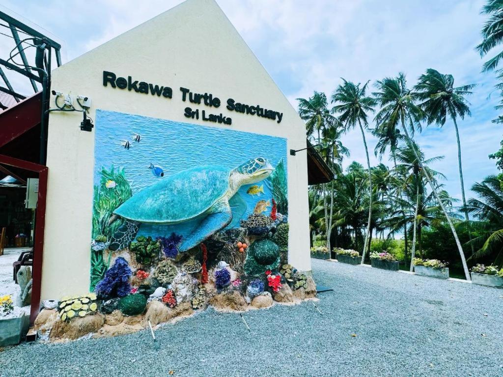 טנגלה Turtle Paradise מראה חיצוני תמונה